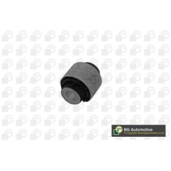 BGA Control Trailing Arm Bush BU0111 for VW