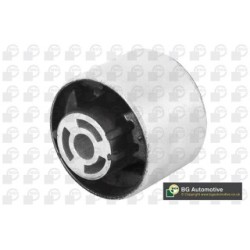 BGA Control Trailing Arm Bush BU0109 for VW