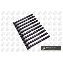 BGA Cylinder Head Bolt Set BK3349 for FIAT