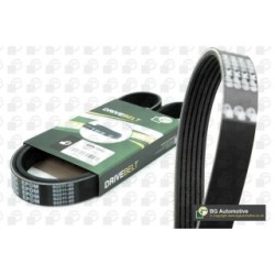 V Ribbed Belt BGA 6PK985 for FIAT