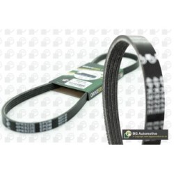 BGA V Ribbed Belt 4PK962 for FIAT