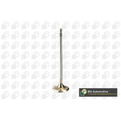 BGA Intake Valve V205096 for VW