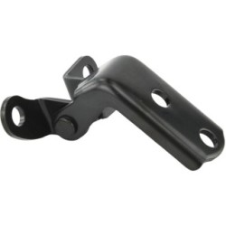 FEBEST Door Hinge 0199-HDGSV50RLL for LEXUS