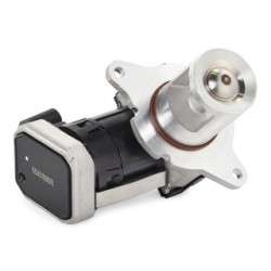 RIDEX EGR Valve 1145E0076 for CHRYSLER