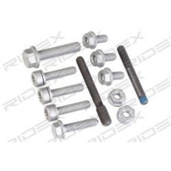RIDEX Bolt & Nut Kit 3264B0030