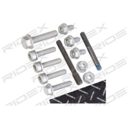 RIDEX Bolt & Nut Kit 3264B0030