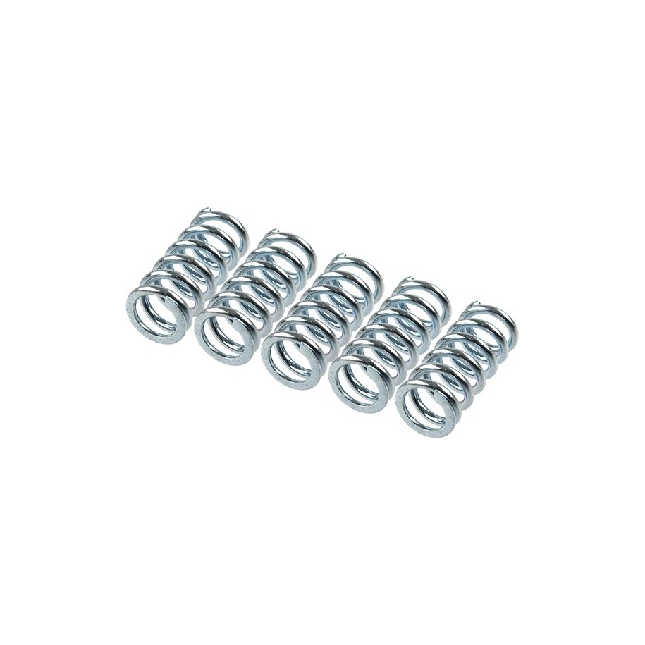 TRW Clutch Spring Set MEF111-5