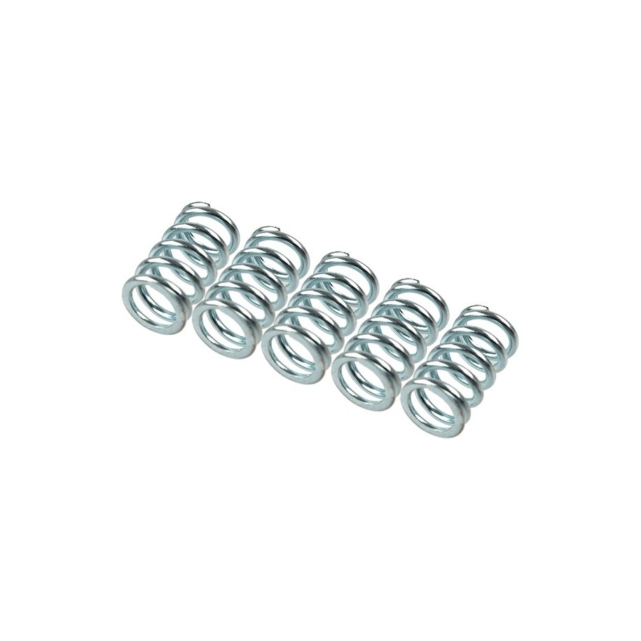 TRW Clutch Spring Set MEF123-5