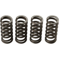 TRW Clutch Spring Set MEF135-4