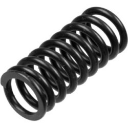 TRW Clutch Spring Set MEF143-6 for SUZUKI RF