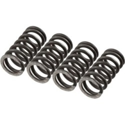 TRW Clutch Spring Set MEF147-4 for HONDA CBR