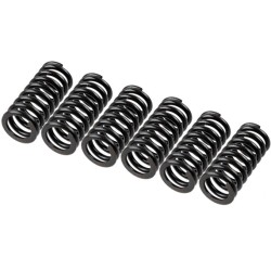 TRW Clutch Spring Set MEF154-6