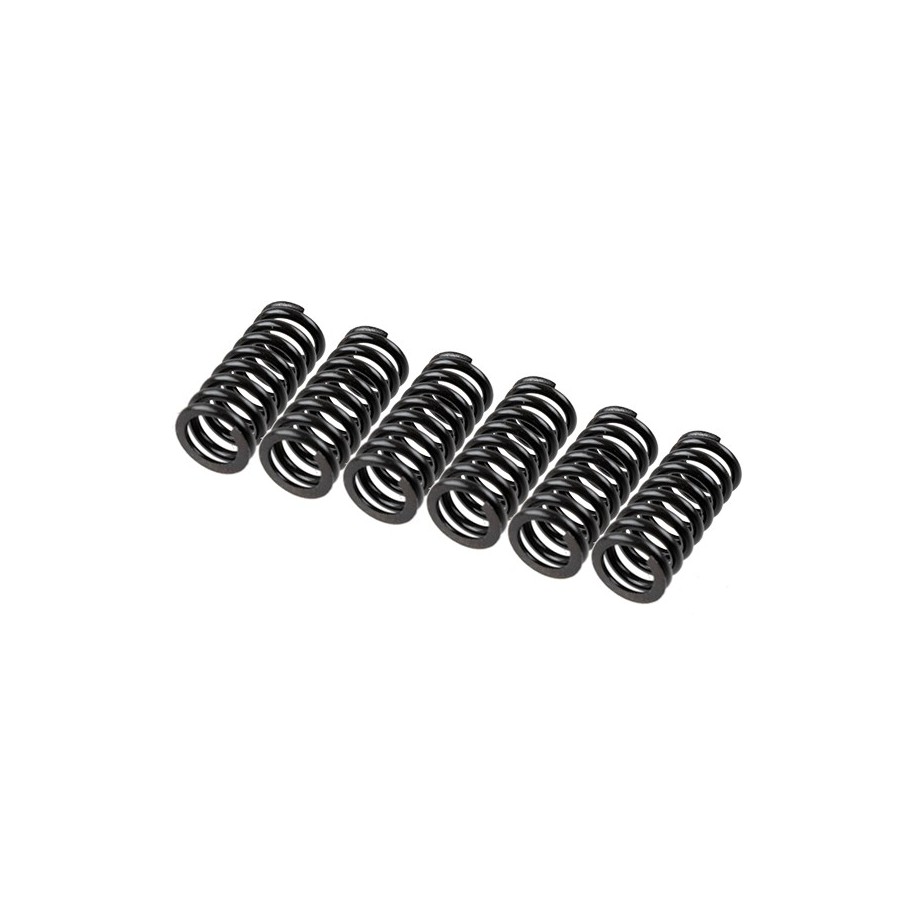 TRW Clutch Spring Set MEF154-6