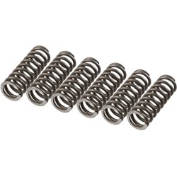 TRW Clutch Spring Set MEF157-6