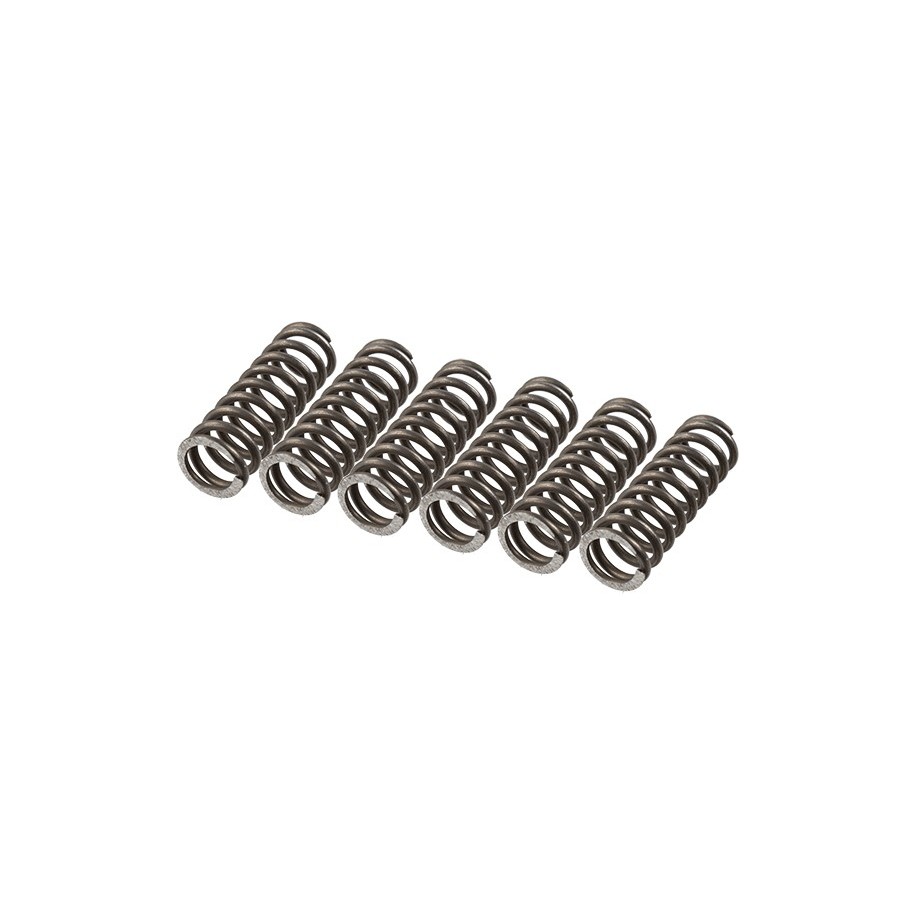 TRW Clutch Spring Set MEF157-6