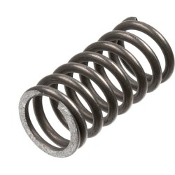 TRW Clutch Spring Set MEF159-5