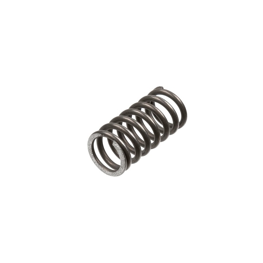 TRW Clutch Spring Set MEF159-5