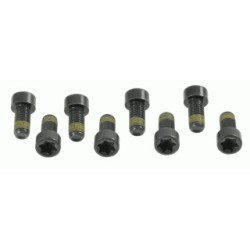 Flywheel Screw Set SACHS 1874000006 for MERCEDES 6689900012
