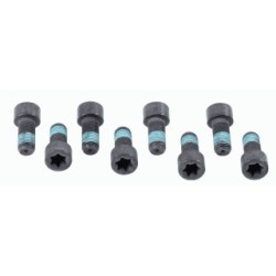 Buy Flywheel Screw Set SACHS 1874000032 24456947
