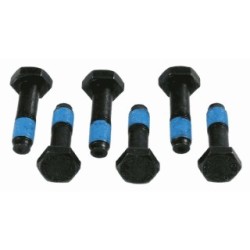Buy Flywheel Screw Set SACHS 1874000034 55216573