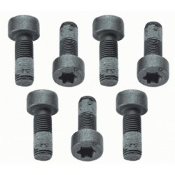 Buy Flywheel Screw Set SACHS 1874000040 30680646