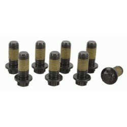 Buy Flywheel Screw Set SACHS 1874000072 053756