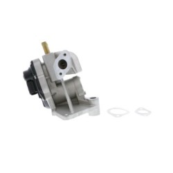 VEMO Egr Valve V10-63-0053-1 for AUDI
