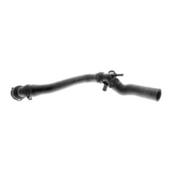 VAICO Radiator Hose V10-1000 for AUDI
