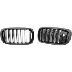 Radiator Grille Insert 1293441 for BMW X5