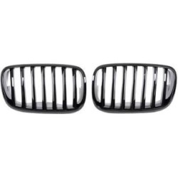 Radiator Grille 1291440 for BMW X5