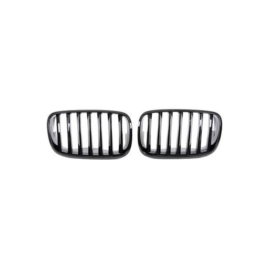 Radiator Grille 1291440 for BMW X5