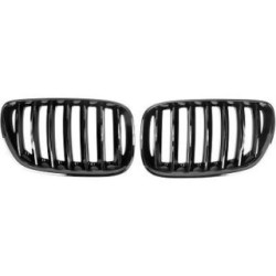 Radiator Grille 1290541 for BMW X5