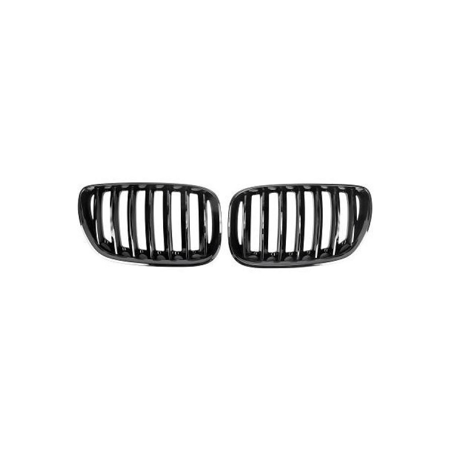 Radiator Grille 1290541 for BMW X5