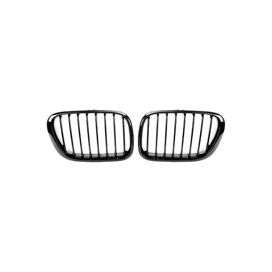 Radiator Grille 1290341 for BMW X5