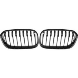 Radiator Grille 1281941 for BMW 1
