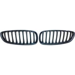 Radiator Grille 1251740 for BMW Z4