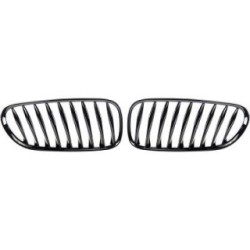 Radiator Grille 1251341 for BMW Z4