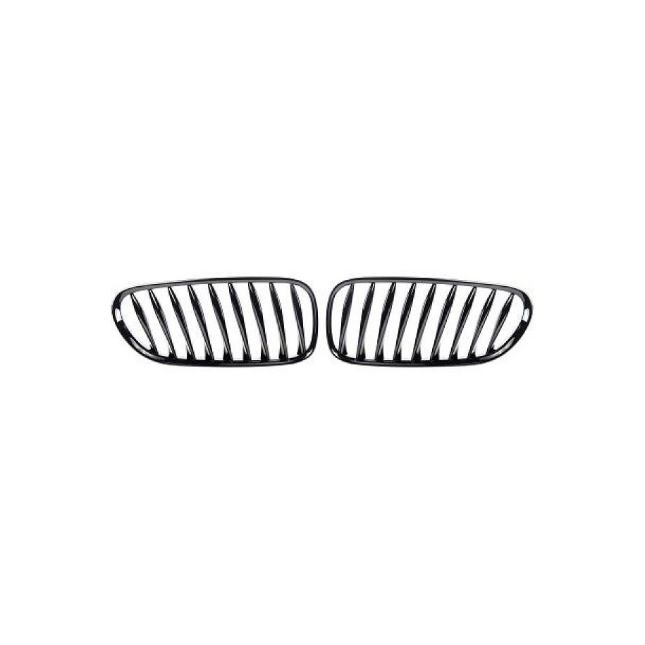 Radiator Grille 1251341 for BMW Z4