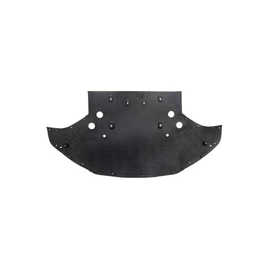 Front Cowling Panel 8079400 for TESLA MODEL S OE 1056376-00-C