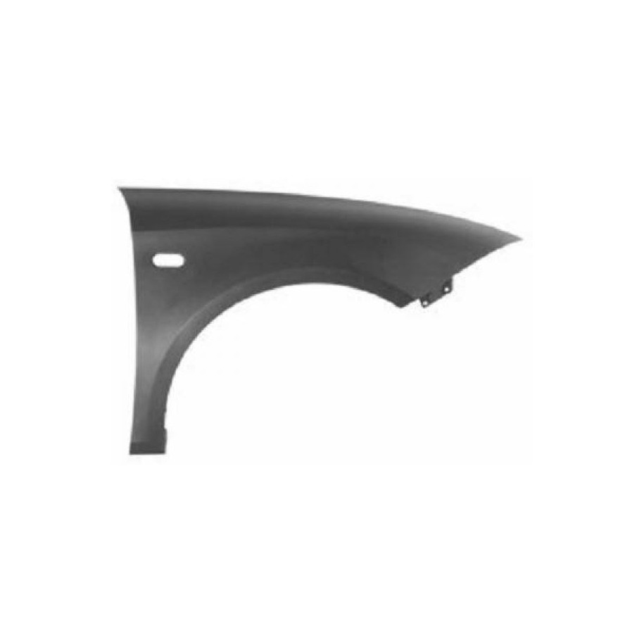 Wing (Fender) 7432006 for SEAT LEON OE 1P0821022