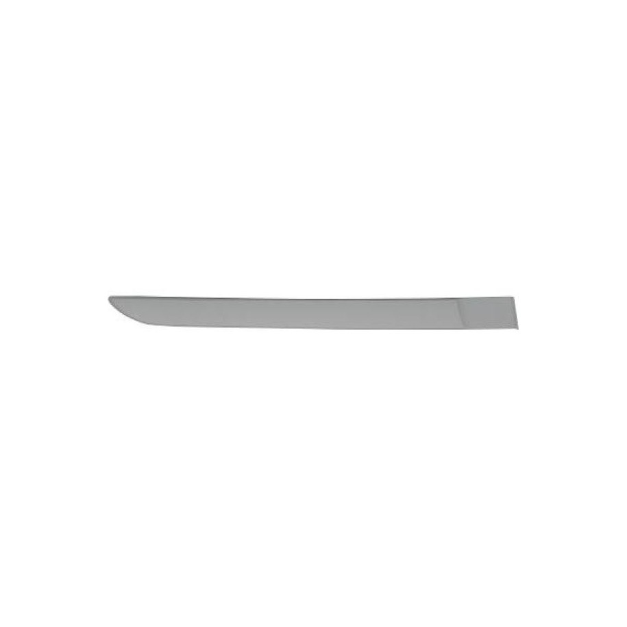 Door Trim Strip 4464420 for RENAULT MEGANE