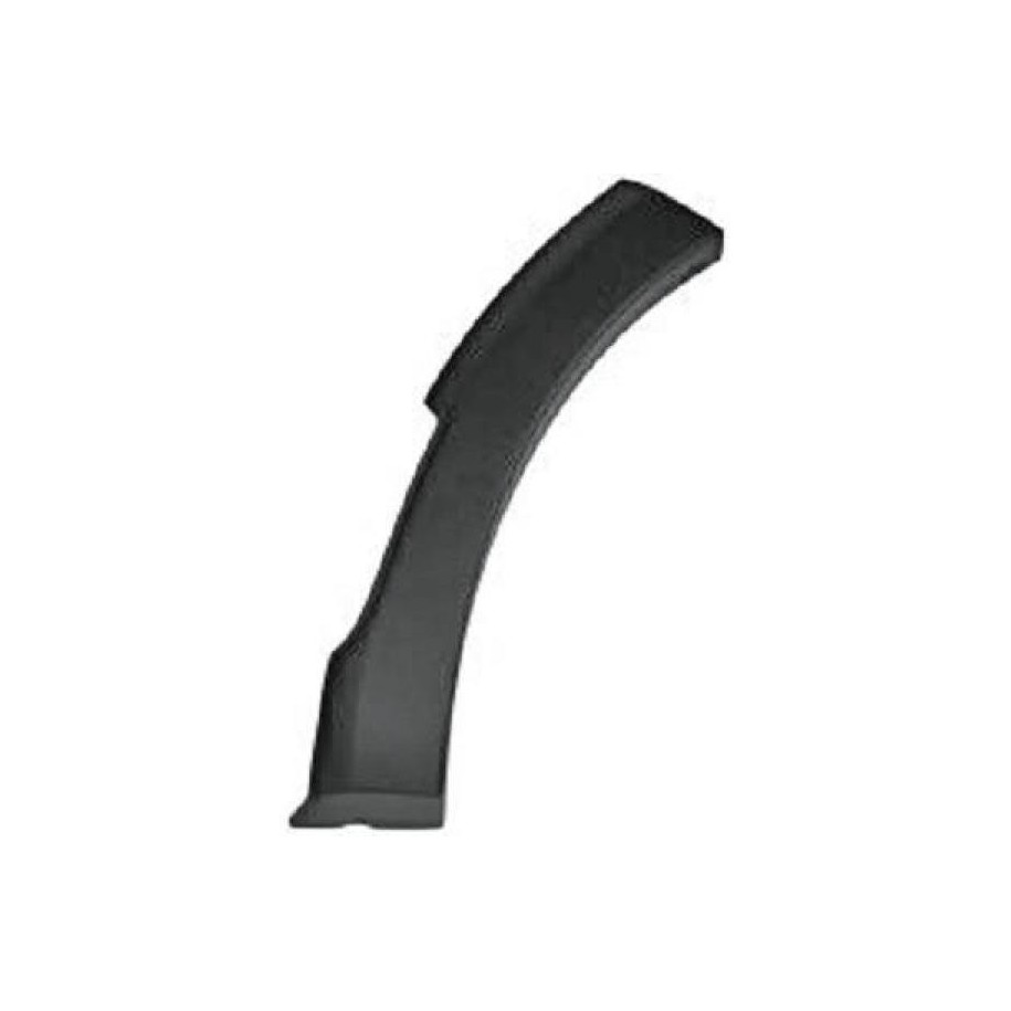 Wing Flaring 4456563 for DACIA SANDERO OE 960173784R