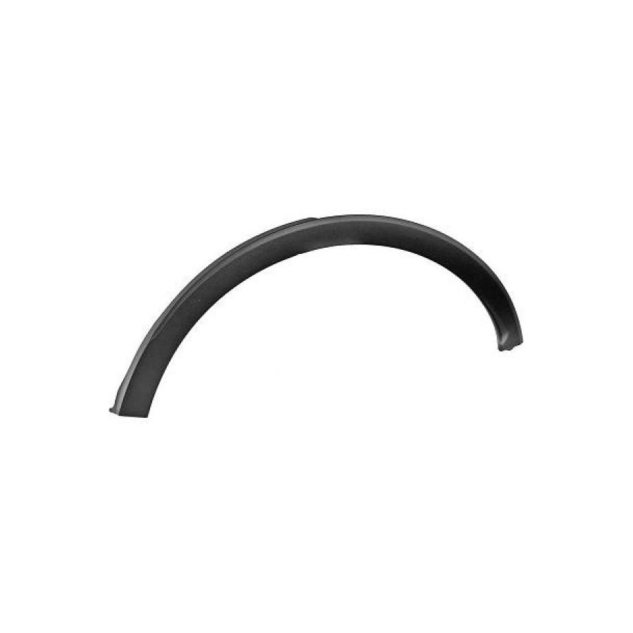 Wing Trim Strip 4406167 for RENAULT CAPTUR OE 788A33960R