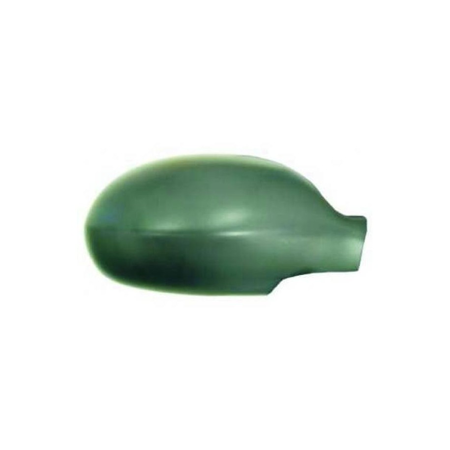 Exterior Mirror Cover 4061228 for CITROEN C5