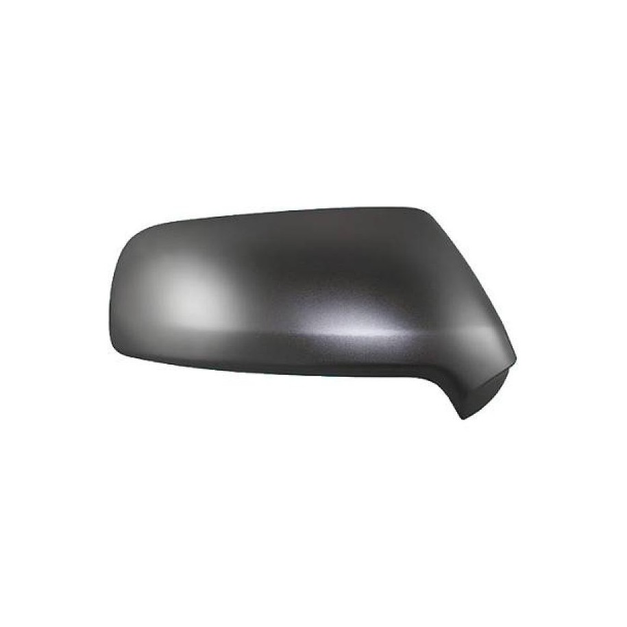 Exterior Mirror Cover 4006028 for CITROEN