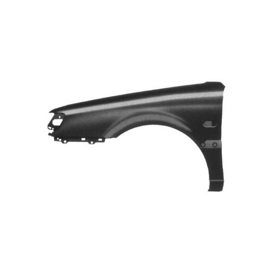 Wing (Fender) 2244007 for VW PASSAT OE 3A0821021