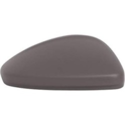 Exterior Mirror Cover 1836028 for DS