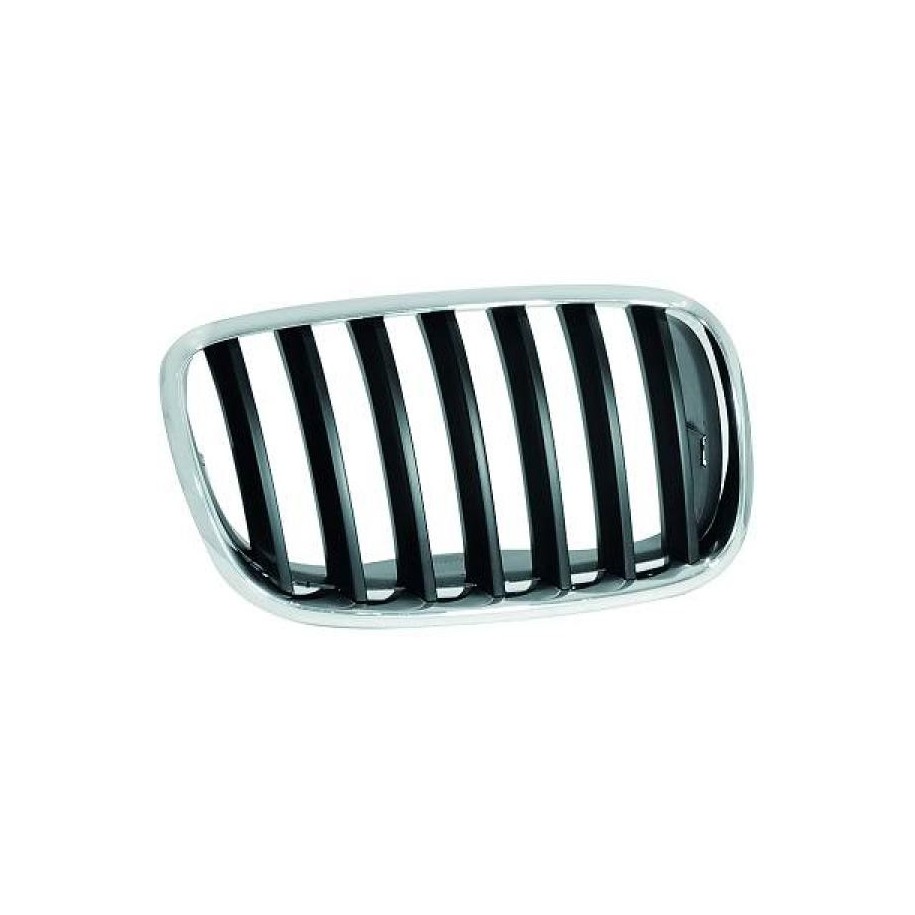 Radiator Grille 1291048 for BMW X5 OE 51137157688