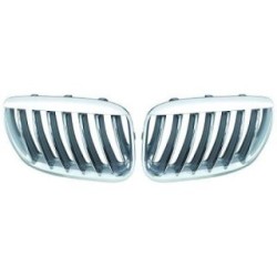 Radiator Grille 1290440 for BMW X5