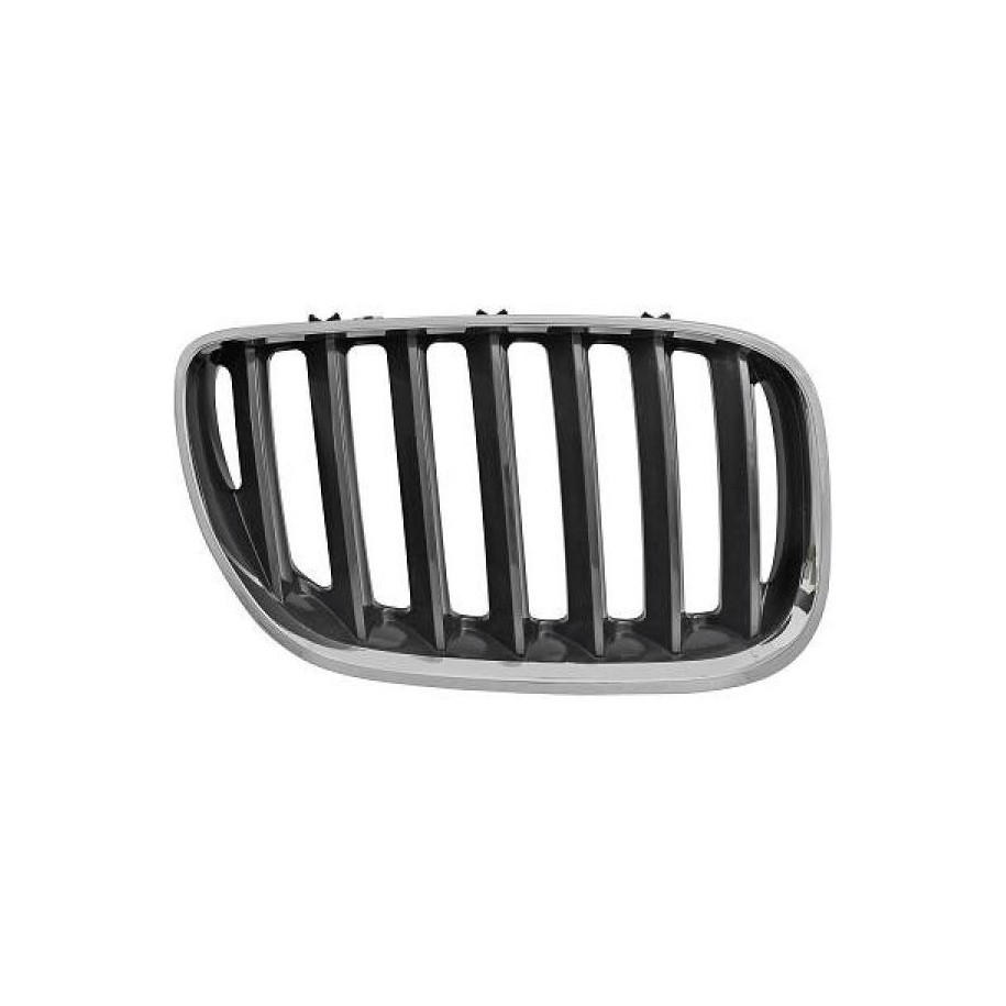 Radiator Grille 1290042 for BMW X5 OE 51137113734